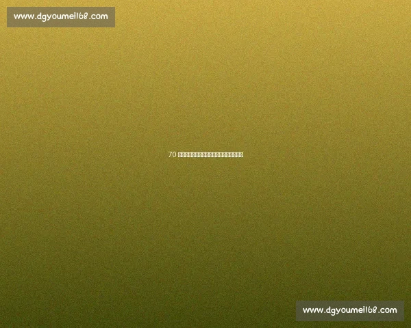 70 岁赛车手孙玉卿:速度与激情的人生下半场 70 岁赛车手孙玉卿:速度与激情的人生下半场