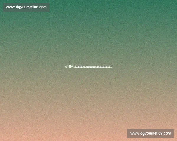 WNBA 赛场再爆假阳具投掷事件,第三次恶性干扰引联盟重拳整顿 WNBA 赛场再爆假阳具投掷事件,第三次恶性干扰引联盟重拳整顿